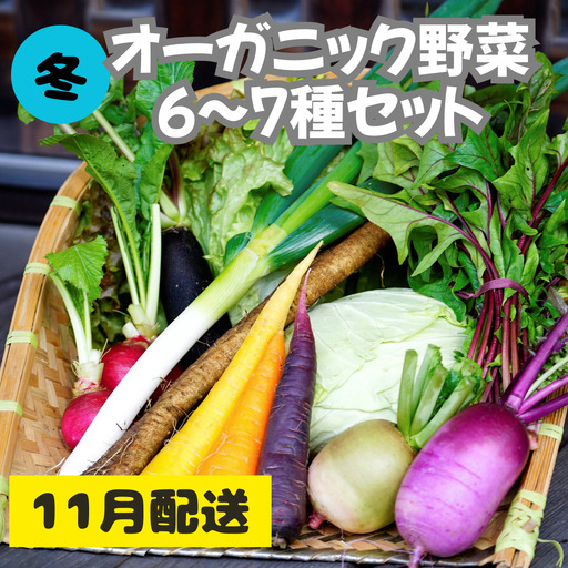 【先行予約：11月配送】＜てんとうむしばたけ＞冬のオーガニック野菜セット　有機野菜6～7種前後
