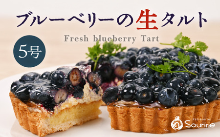 先行予約 ブルーベリーのフレッシュタルトケーキ 5号：直径15cm (4〜5人前) 850g 2027年7月発送 スイーツ ケーキ [A-5219_07]