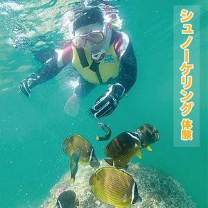 シュノーケリング体験