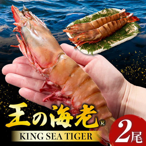 [高級]KING SEA TIGER 王の海老2尾・K305-12