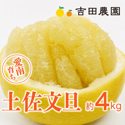 [先行予約]土佐文旦 4kg 土佐文旦 文旦 みかん 高知 に負けない 愛媛 愛南 吉田農園