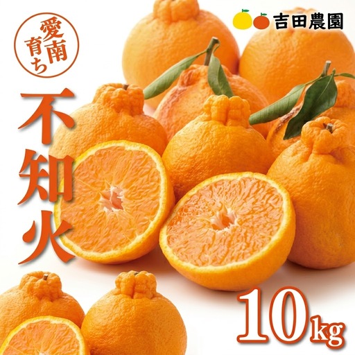 【先行予約】【デコポンと同品種】 不知火 10kg しらぬい 吉田農園 でこぽん 愛媛 愛南