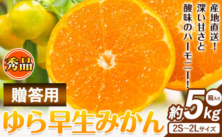 [先行予約]秀品 贈答用 ゆら 早生みかん 約 5kg (2S〜2Lサイズ) みかん