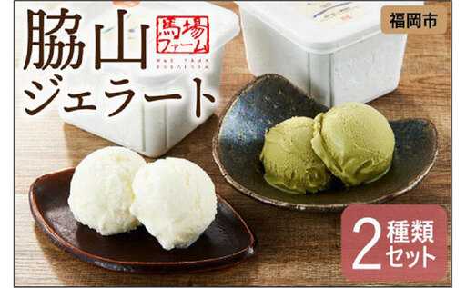 脇山ジェラート２種類セット