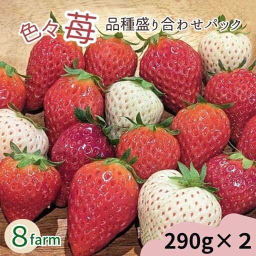 【先行予約】「色々苺」品種盛り合わせパック 品種かわかるメモ付【食べ比べ いちご 約290g×2パック 苺 冷蔵 安来】【13-FA-01】