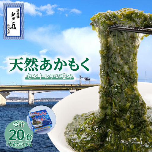天然あかもくセントレアの恵み【2連パック×10】　あかもく アカモク ぎばさ ギバサ 海藻 食物繊維 冷凍 スーパーフード セントレア 海の恵み ふるさと納税 愛知県 常滑市