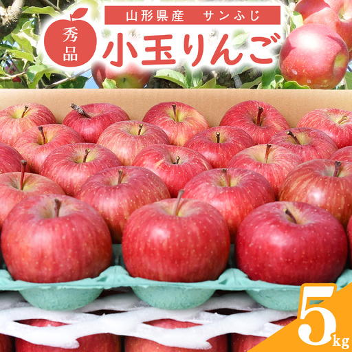令和8年産 小玉りんご「サンふじ」5kg 秀品 山形県産[2027年1月上旬頃〜下旬頃発送予定]