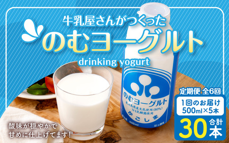 [6回定期便]“牛乳屋さんがつくった"のむヨーグルト 500ml×5本×6回 合計15L 無添加 県酪農協牛乳 DS-224
