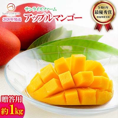マンゴー[2026年発送]令和6年最優秀賞サンライズファーム マンゴー贈答用 約1kg