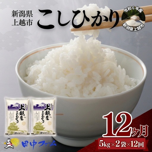 【12ヶ月定期便】上越市産 コシヒカリ 5kg×2 精米 コシヒカリ