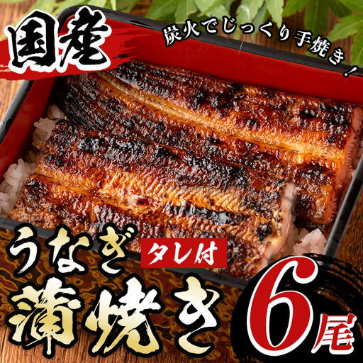 国産！うなぎ蒲焼き(6尾・タレ付き) 国産 九州産 鹿児島県 宮崎県 鰻 ウナギ unagi うな重 うな丼 ひつまぶし うなじゅう 蒲焼 かばやき 白焼 しらやき 無頭 魚 魚介類 土用 丑の日 タレ タレ付 おかず 惣菜 冷蔵 特産品 お土産 ギフト プレゼント ご贈答用 【尾方屋】_y512
