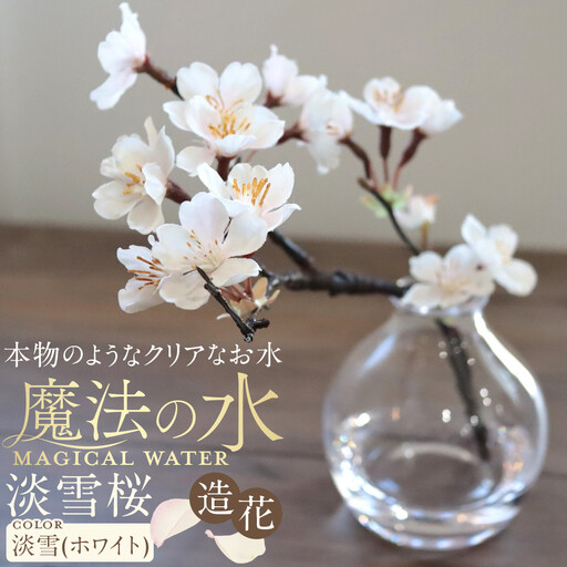 新春 淡雪桜 さくら 魔法の水 マジカルウォーター『淡雪』
