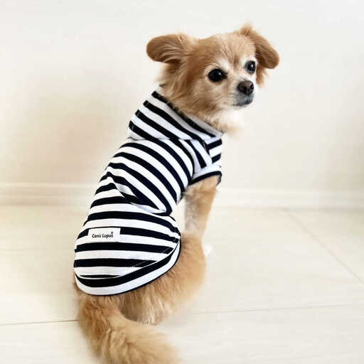 ボーダーパーカー ホワイト×ブラック（ワンちゃん用）（SS/S/MM/Mサイズ） / 佐賀県 犬 ドッグ / Canis Lupus [41AAAN013]