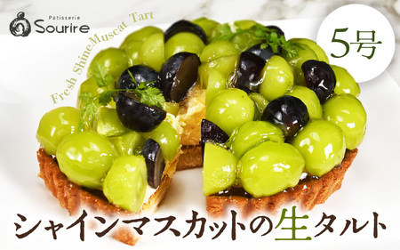 シャインマスカットのフレッシュタルトケーキ 5号:直径15cm (4〜5人前) 850g 2026年8月発送 スイーツ ケーキ [A-5220_08]