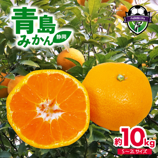 【先行予約】みかん 2026年12月下旬より順次発送 青島みかん 約10kg S〜2L