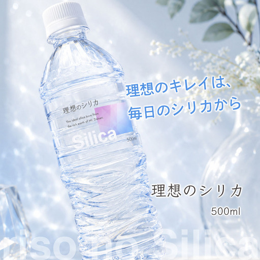 理想のシリカ 500ml × 48本