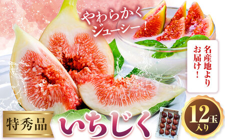 [先行予約]紀の川産 いちじく 特秀品 12玉 WAT農園