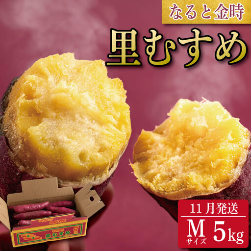 なると金時 Mサイズ 5kg 11月発送 さつまいも なると金時