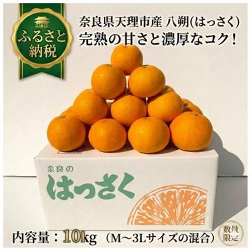 八朔10kgご家庭用【令和9年1月以降】_果物・フルーツ  柑橘 _【1601386】