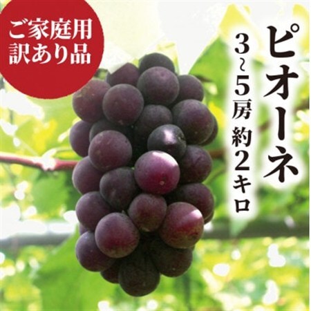 【訳あり】ピオーネ ご家庭用 3-5房入/計2kg～(岡山県産) 訳ありでもしっかり甘い!【配送不可地域：離島・北海道・沖縄県】【1535985】