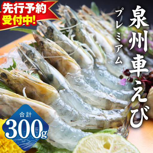 [TVで紹介]泉州車えび 300g[先行予約]