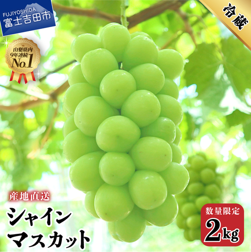 【2026年発送】産地直送 高級シャインマスカット2kg以上（3～4房）山梨県産 シャインマスカット