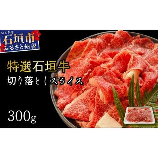 切り落としスライス300g　 IM-34