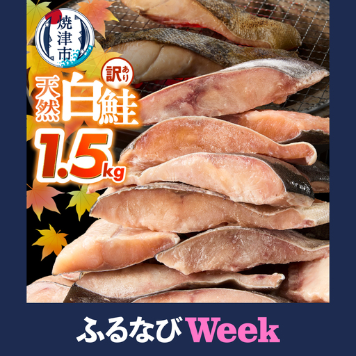 【ふるなびWEEK対象】訳あり！天然 白鮭 甘口 切身 約1.5kg バラ凍結 大袋ジッパー (a10-1177d)