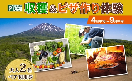 [2026年]北海道 オーガニック 野菜収穫&ピザ作り 体験 2名様分 ペア チケット 体験型 ツアー 夏休み 野菜 有機野菜 ピザ ハウス 収穫 新鮮 ニセコグリーンファーム 送料無料 体験チケット