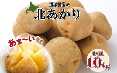 [ 2026年 発送 ] 先行予約 北海道産 道塚農園 じゃがいも 北あかり 計10kg前後 L-LLサイズ ジャガイモ きたあかり キタアカリ 馬鈴薯 芋 いも イモ 農作物 野菜 産地直送