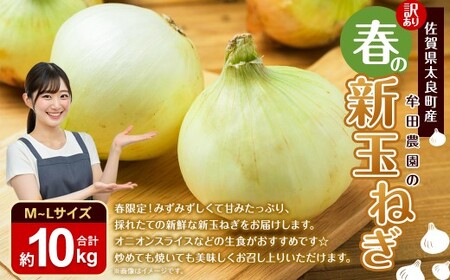 牟田農園 訳あり 牟田農園の春の新玉ねぎ 5kg/10kg