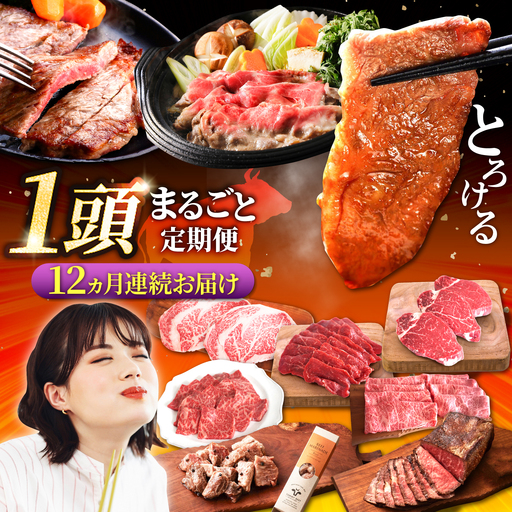 [12回定期便]佐賀県産 しろいし牛 1頭まるごと 定期便 佐賀セントラル牧場 