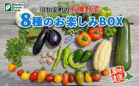 [2026年発送]北海道産 有機 野菜BOX 8種類 詰め合わせ セット 採れたて 夏野菜 オーガニック 旬 新鮮 詰め合わせ お取り寄せ 産地直送 産直 野菜 農作物 ギフト 野菜セット