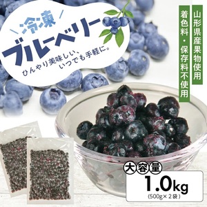 冷凍ブルーベリー1.0kg(500g×2袋) 山形県産 冷凍便 ※離島発送不可 冷凍 冷凍フルーツ ブルーベリー フルーツ ジャム ジュース スムージー 小分け お菓子作り ゆざ食彩工房 遊佐町 庄内 東北 [1430BB1000G]