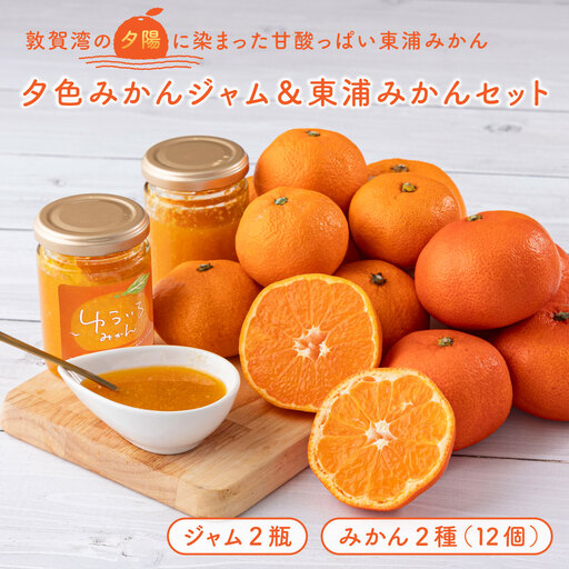 夕色みかんジャム 2瓶&東浦みかん2種のセット[089-a001]