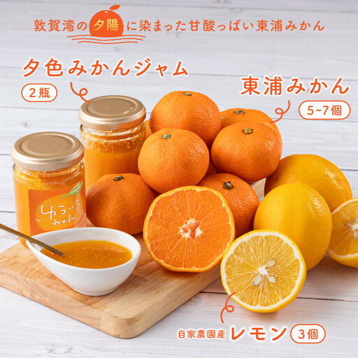 夕色みかんジャム × 2瓶・東浦みかん1種(5~7個)とレモン(3個)セット[089-a002]