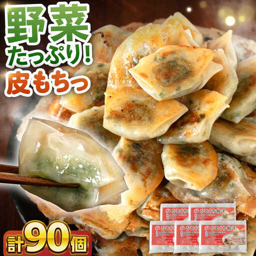 ひとくち餃子18個入×5パック《壱岐市》【壱岐市農業協同組合】[JBO150]