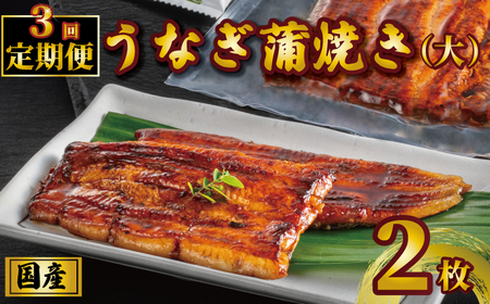 国産うなぎ蒲焼き タレ・山椒付き 2枚 1枚約110g 定期便3回 鰻 鰻 鰻 鰻 鰻 石毛川魚店