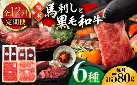 【12回定期便】「熊本特産馬刺しと熊本黒毛和牛」フジチクオリジナル贅沢食べ比べセット 3905 くまもと黒毛和牛【有限会社 スイートサプライなかぞの】[ZDT149]
