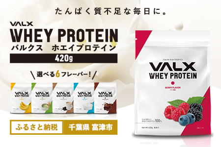 [最短5営業日以内発送]VALX ホエイプロテイン 420g ベリー風味 プロテイン ベリー