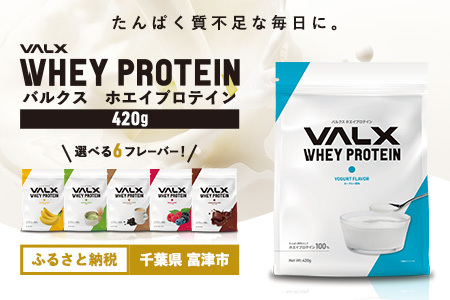 [最短5営業日以内発送]VALX ホエイプロテイン 420g ヨーグルト風味 プロテイン ヨーグルト