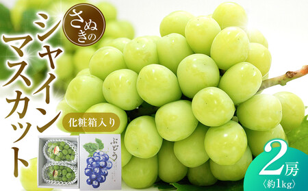 シャインマスカット 約1kg (2房) 化粧箱入り