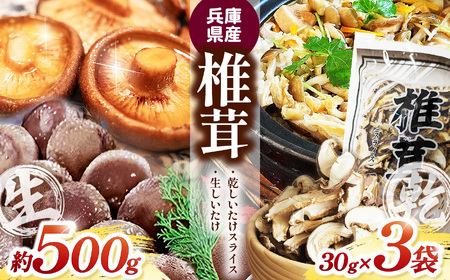 兵庫県産 生椎茸 「 しいたけ小町 」 約500g と 乾しいたけ ( スライス ) 3袋のセット | 生しいたけ しいたけ シイタケ 椎茸 乾椎茸 干しいたけ きのこ キノコ 野菜 山菜 セット 兵庫県 上郡町