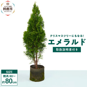 クリスマスツリーにもなる♪エメラルド　樹高約70cm～90cm　取扱説明書付き