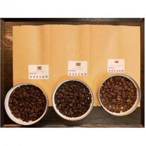 ＜2ヵ月毎定期便＞厳選コーヒー豆100g×5種類セット全3回 コーヒー豆