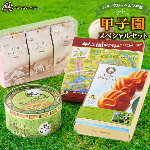 【西宮市の洋菓子】パティスリーベルン特製　甲子園スペシャルセット　洋菓子