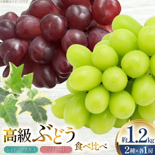【期間限定発送】 ぶどう 食べ比べ 高級ぶどう シャインマスカット マイハート 各1房 約1.2kg 詰め合わせ セット