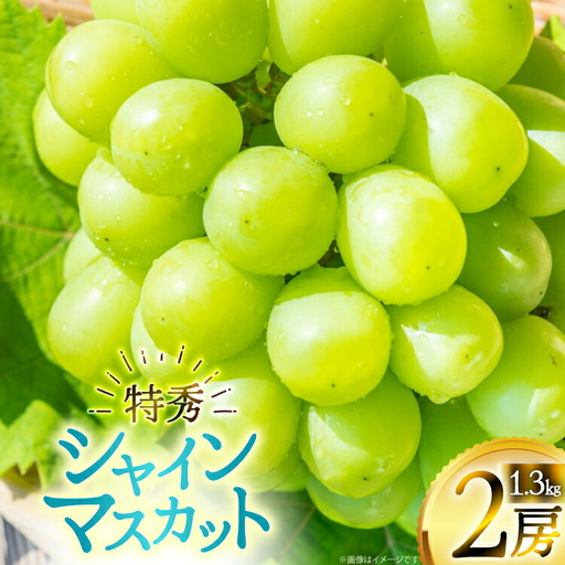 【期間限定発送】 シャインマスカット 特秀 2房 1.3kg