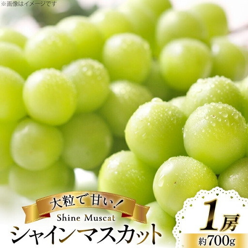 [期間限定発送] シャインマスカット 1房 約700g