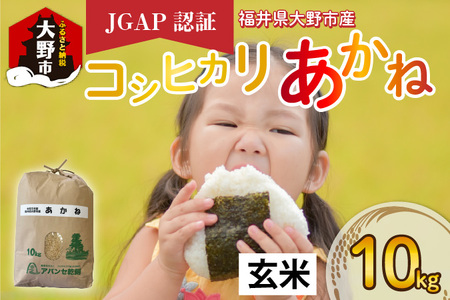 【先行予約】【令和7年産 新米】福井県大野市産 JGAP認証 コシヒカリ「あかね」（玄米）10kg